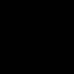 Meet your Posher, Rodney